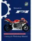 Preview: Workshop Manual