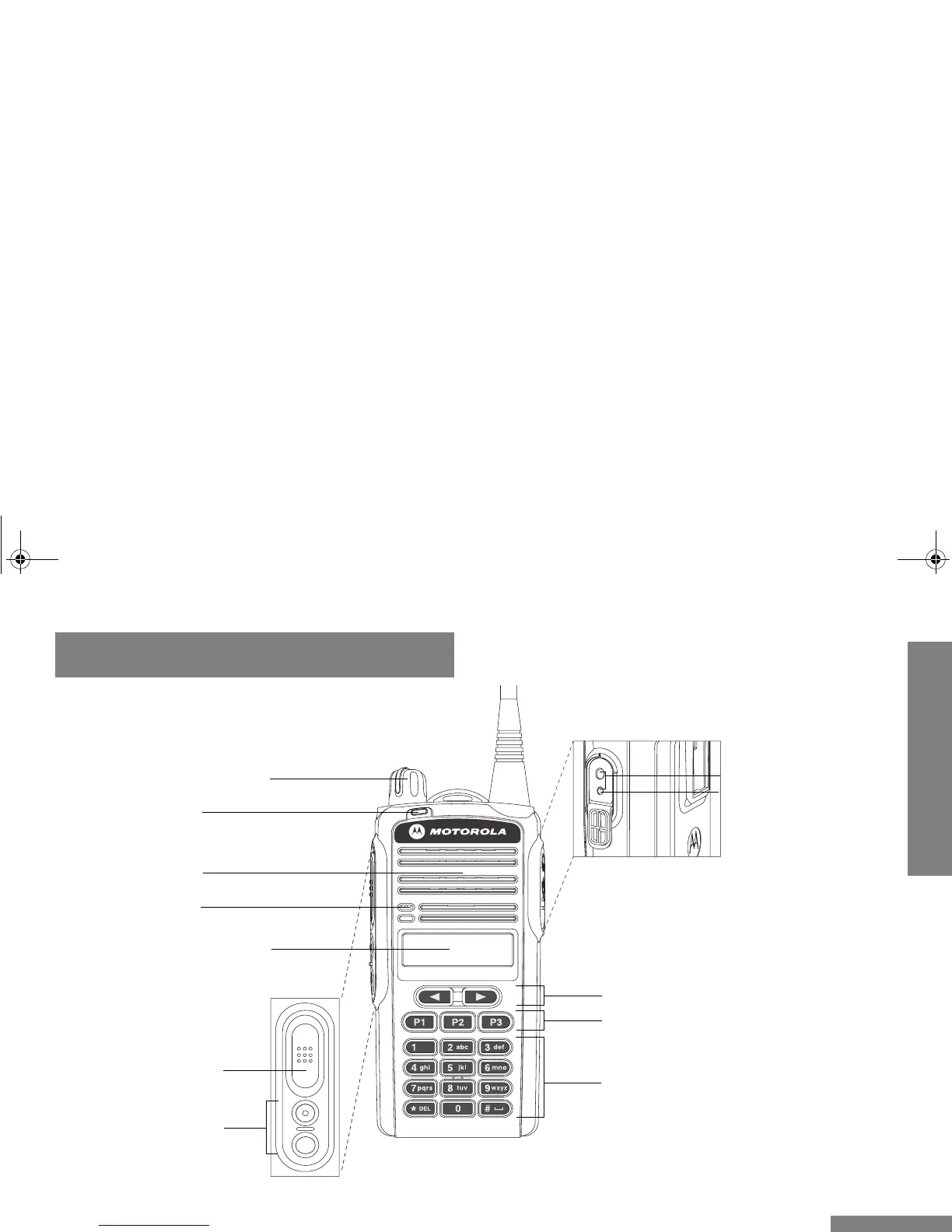Page #41 background image