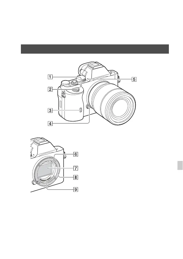 Page #477 background image