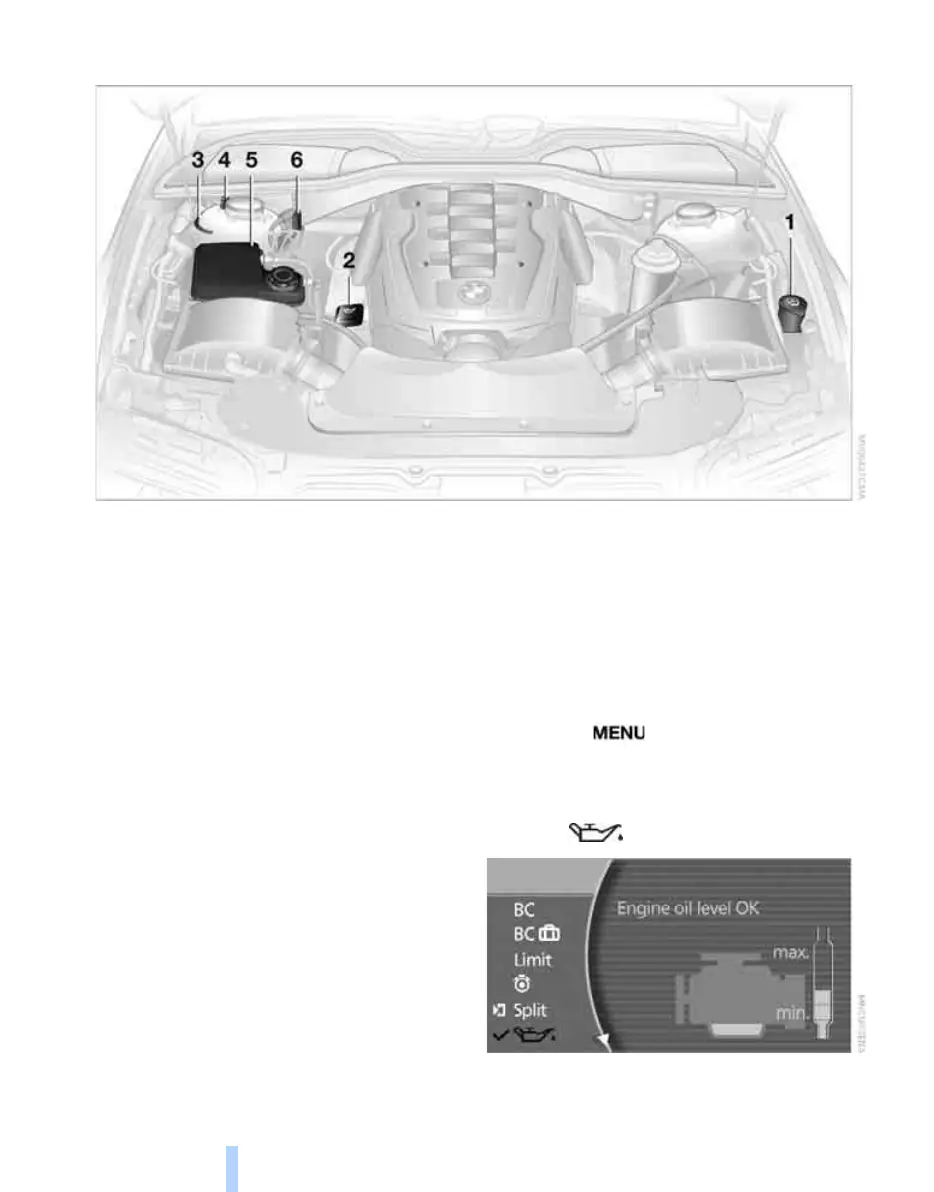 Page #226 background image