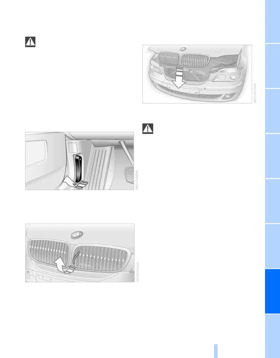 Page #225 background image