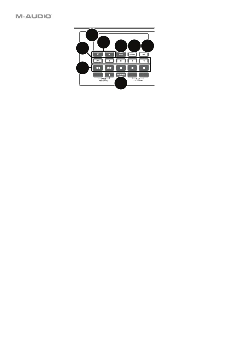 Page #12 background image