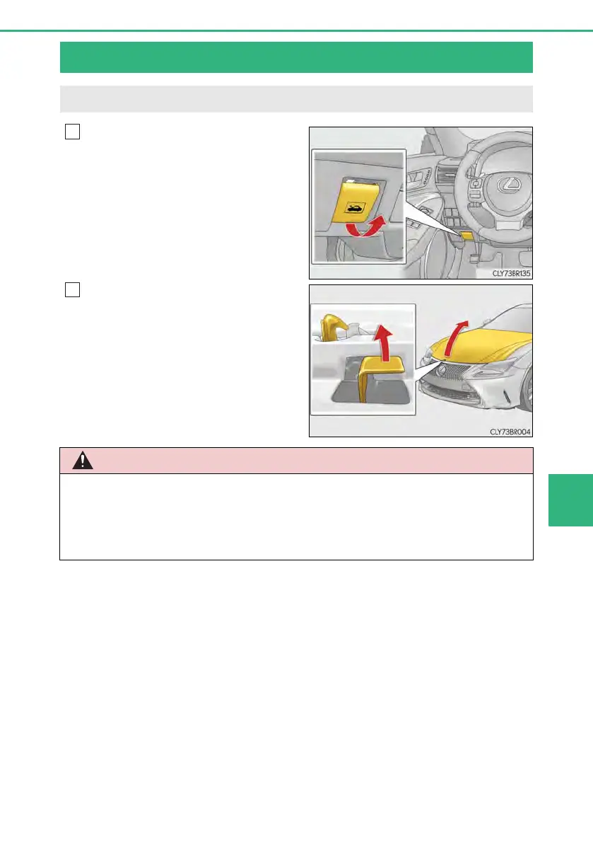 Page #497 background image