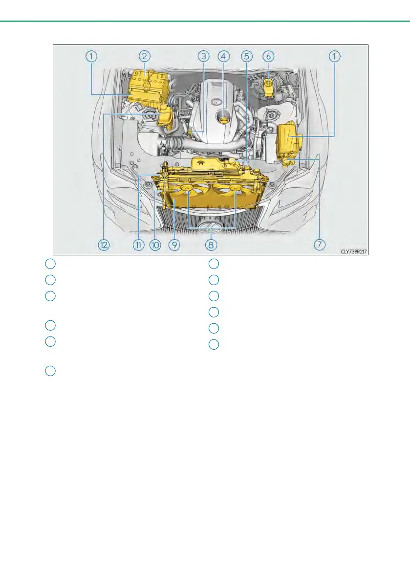 Page #502 background image