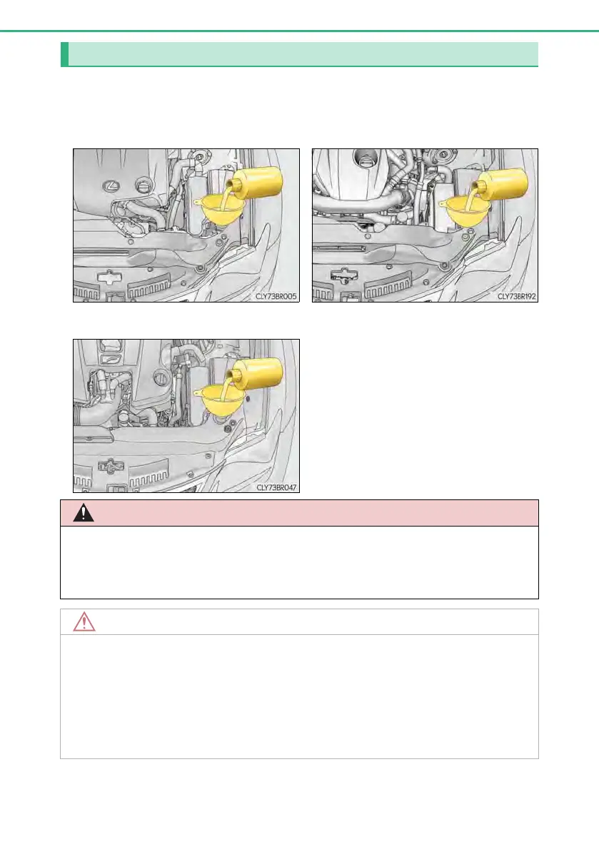 Page #516 background image