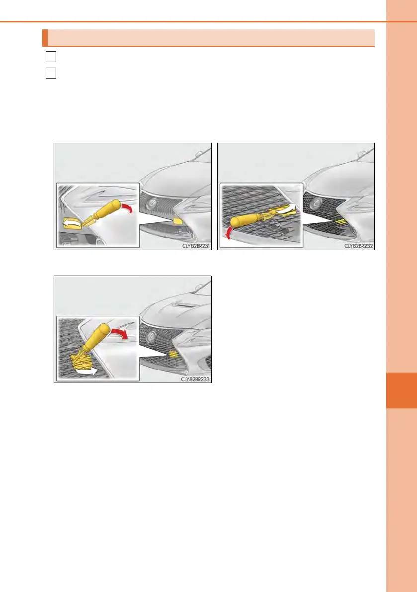 Page #559 background image