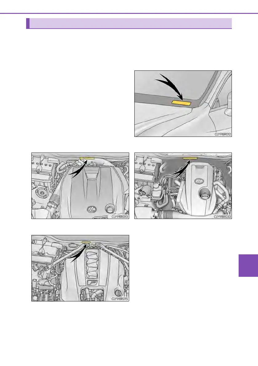 Page #641 background image