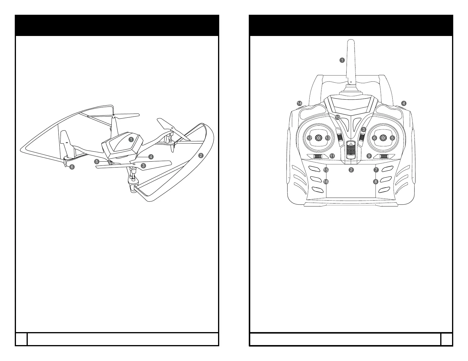 Page #4 background image