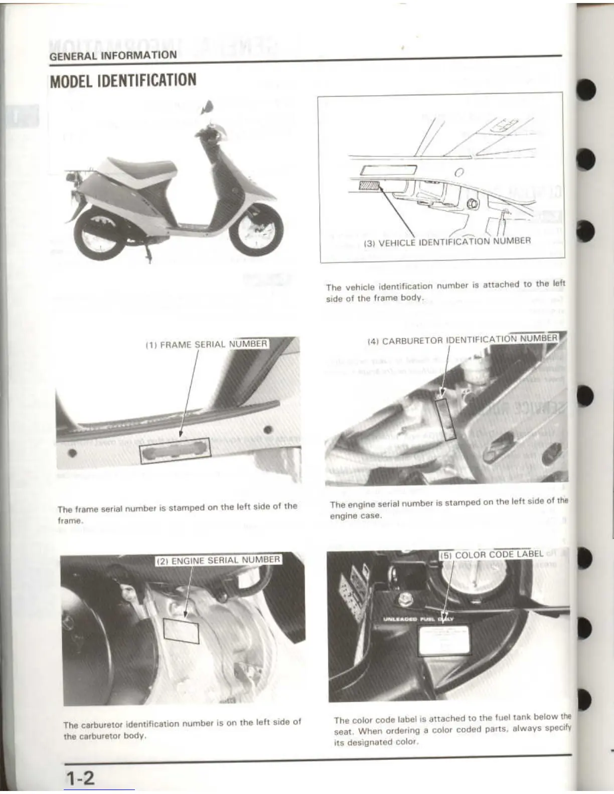 Page #4 background image