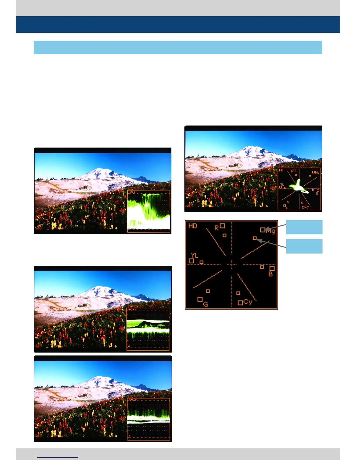 Page #41 background image