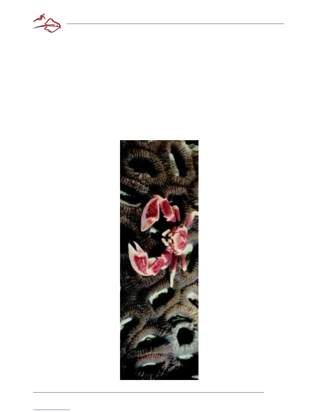 Page #73 background image