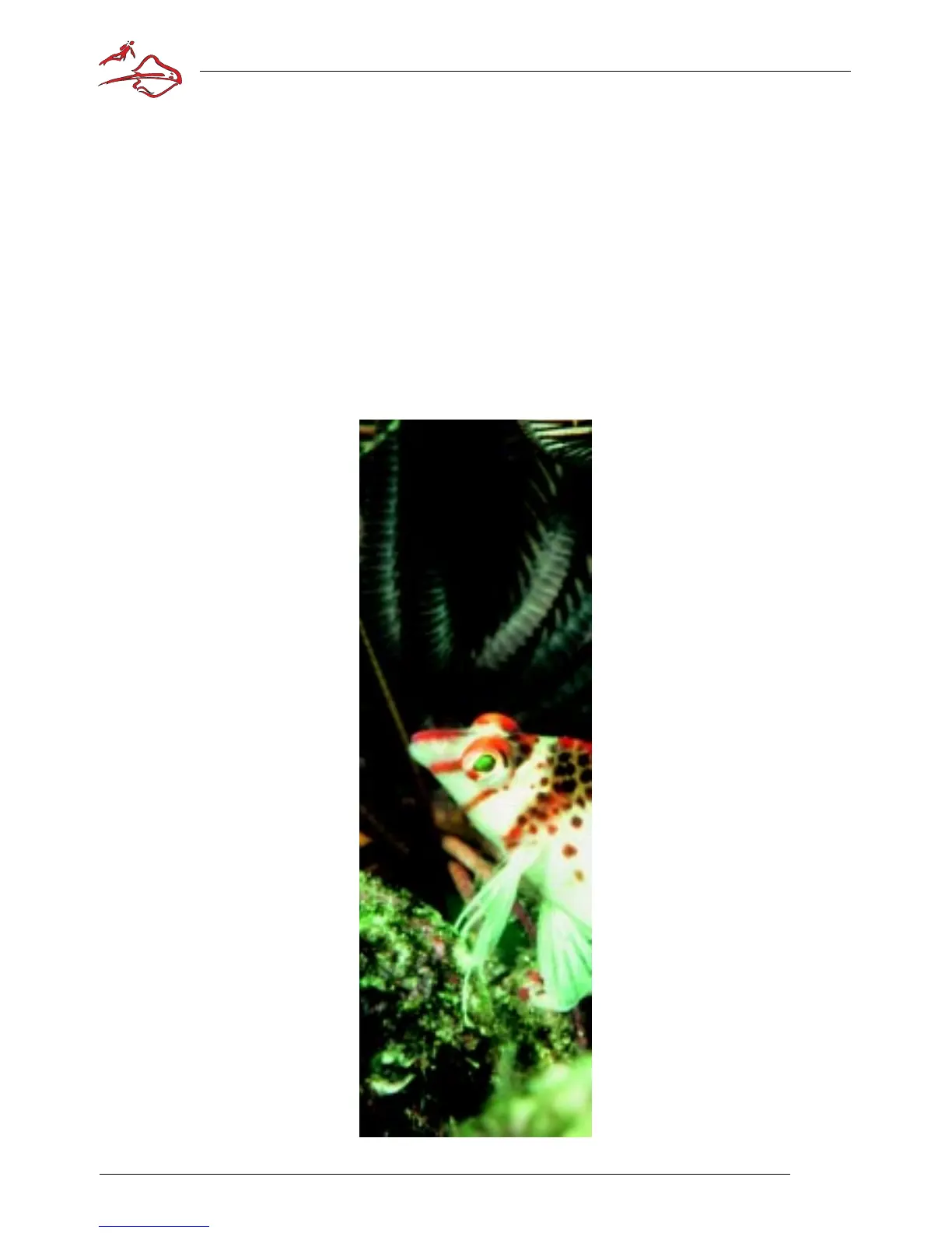 Page #81 background image