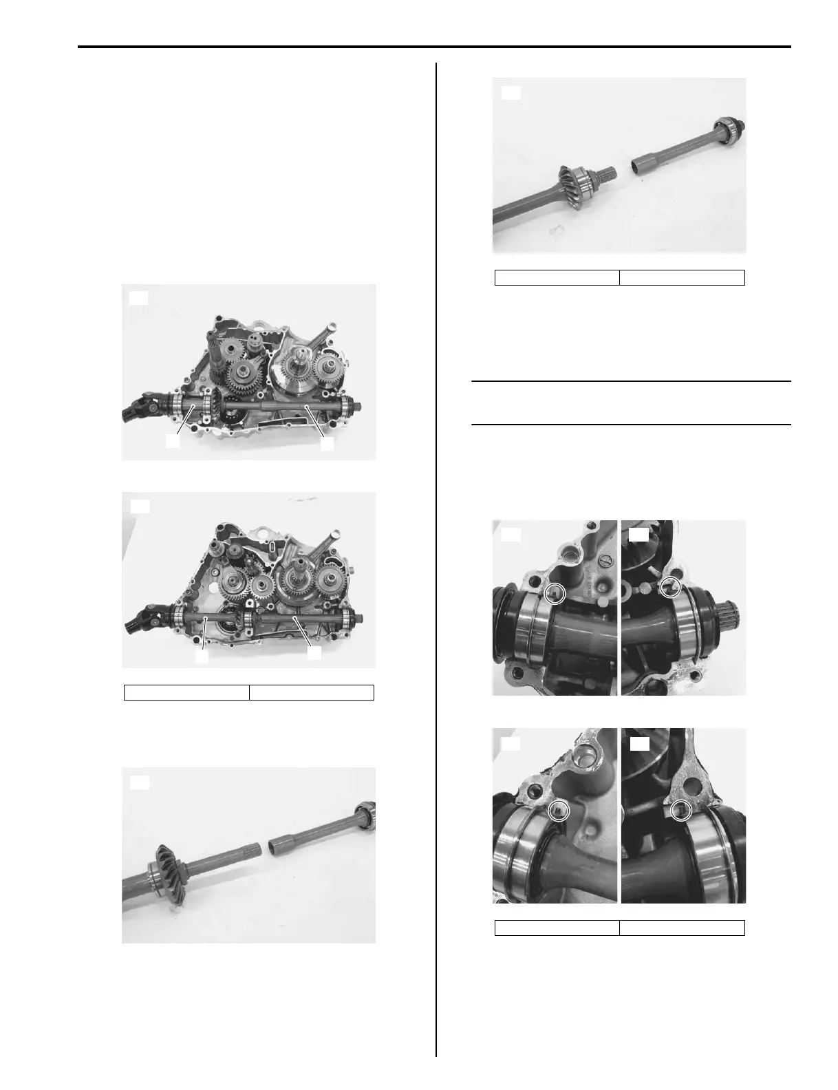 Page #335 background image