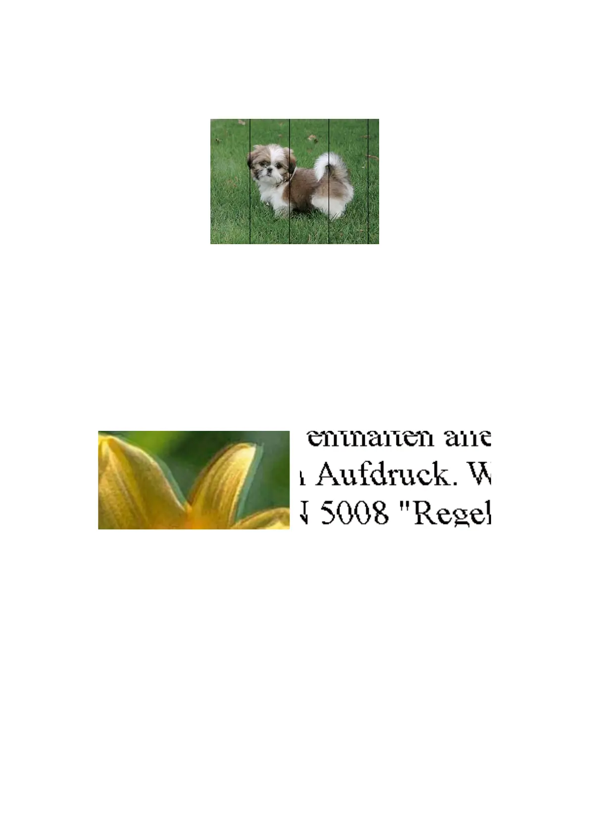 Page #111 background image