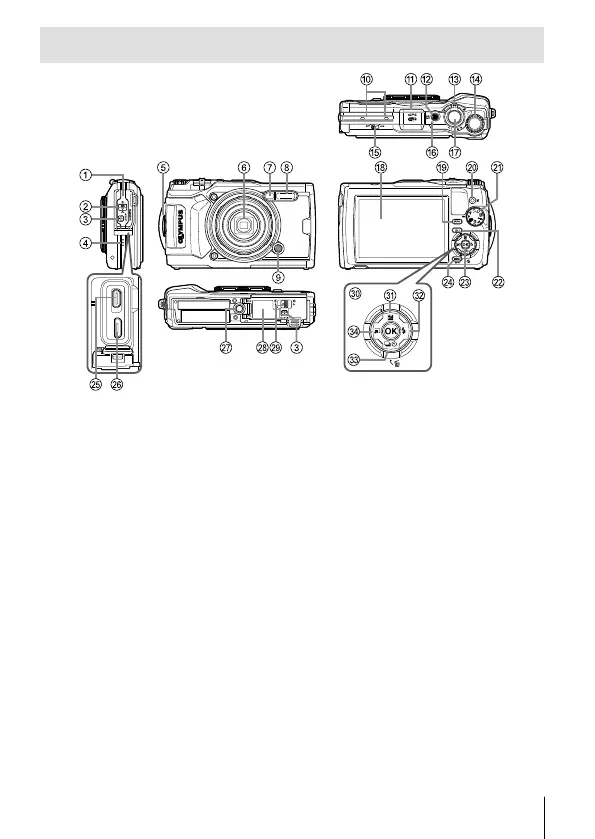 Page #3 background image