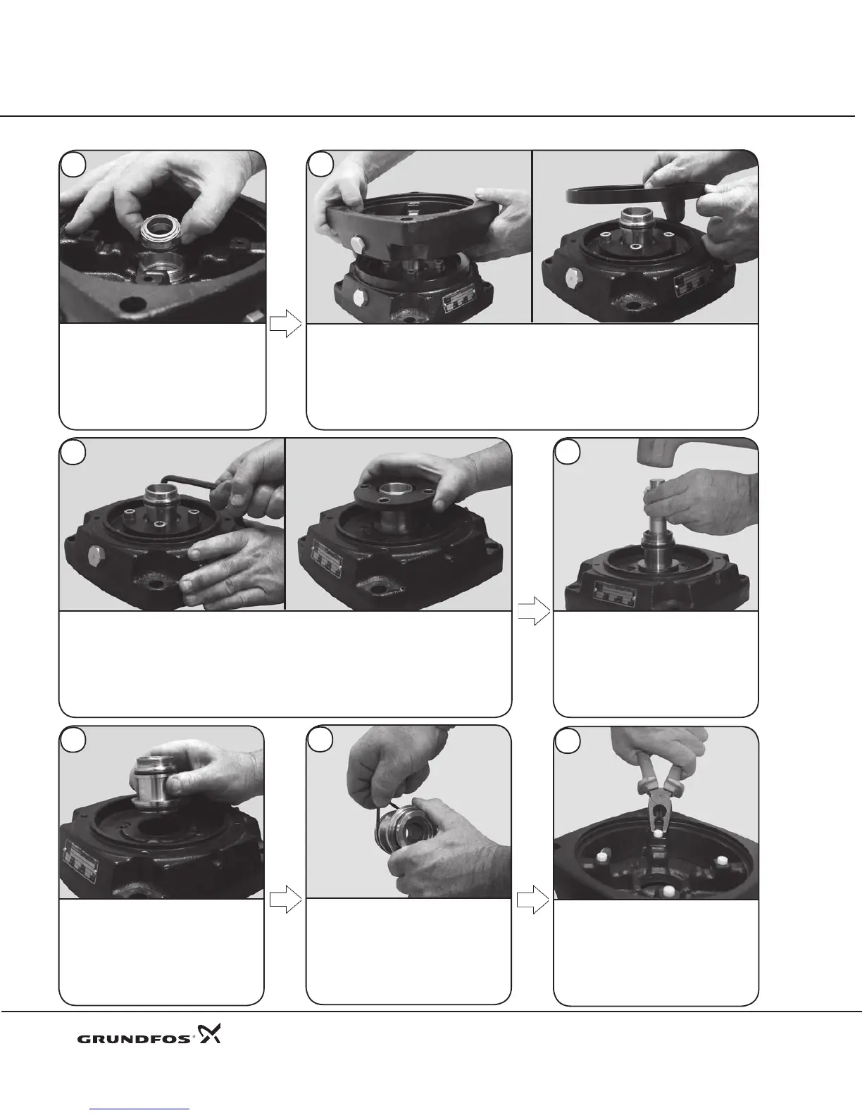 Page #6 background image