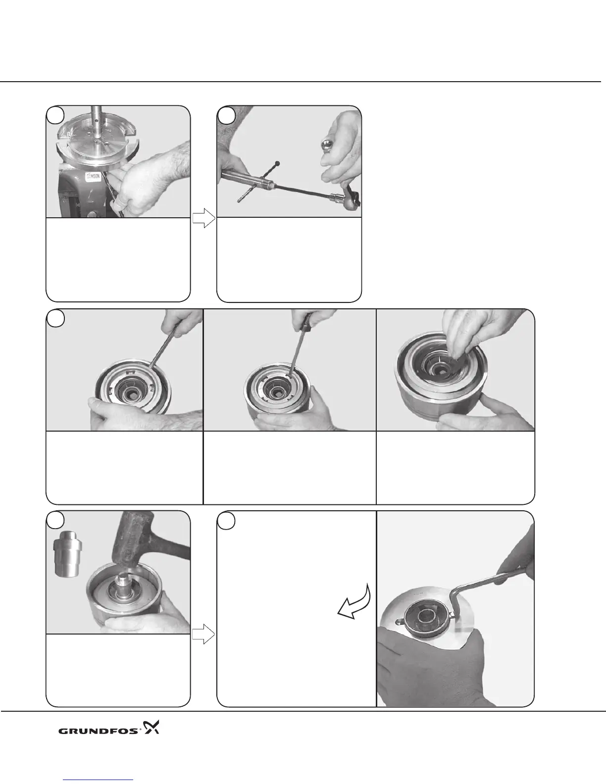 Page #10 background image