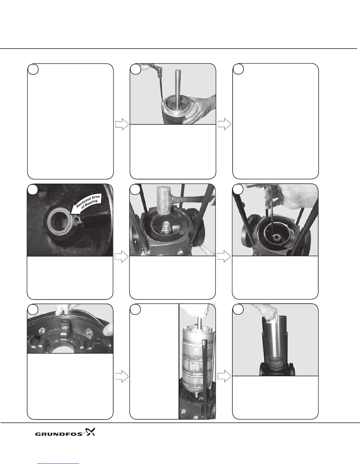 Page #14 background image