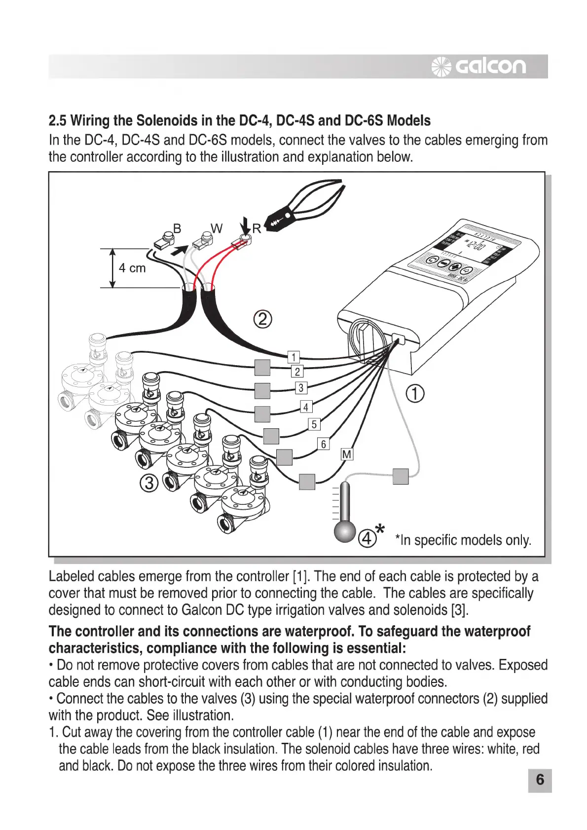 Page #6 background image