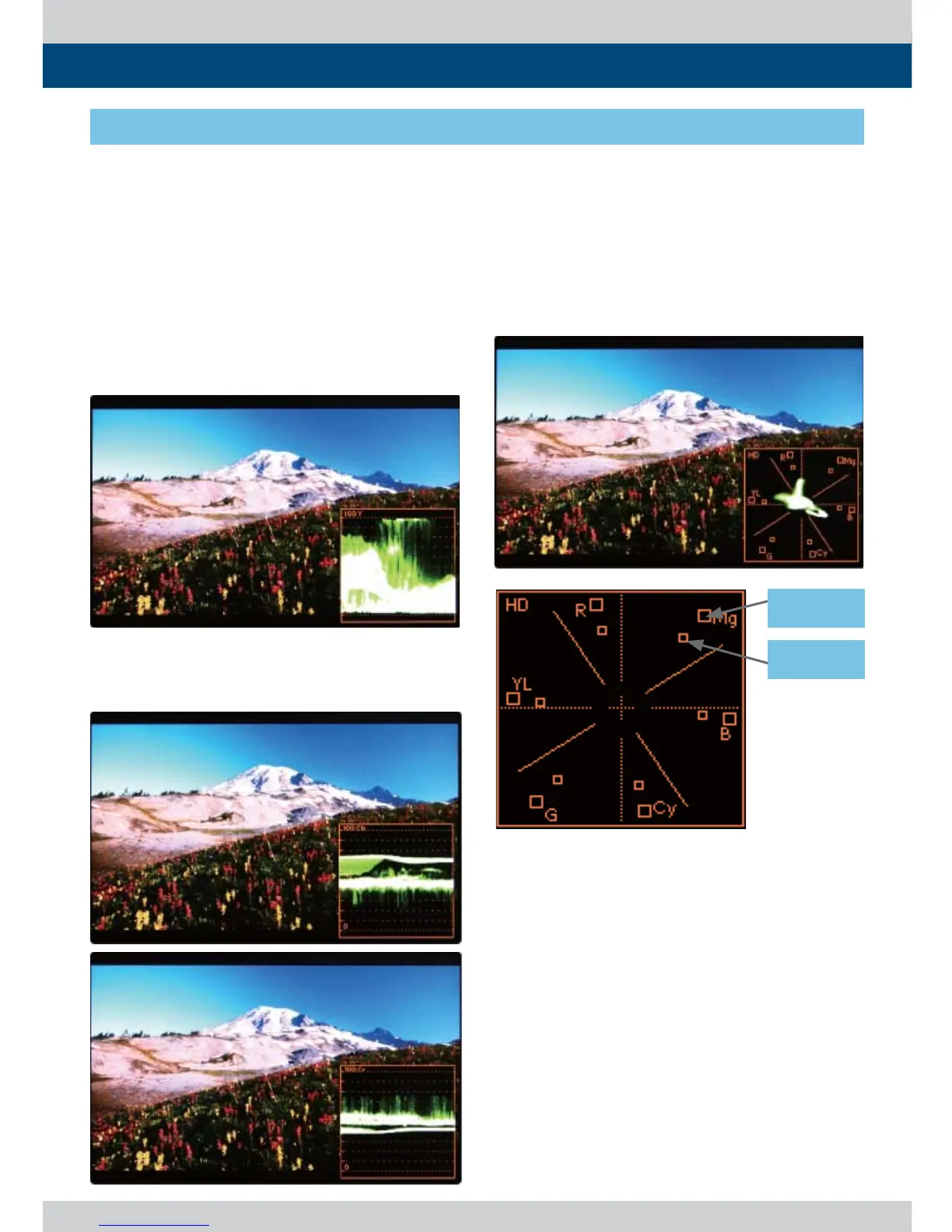 Page #41 background image