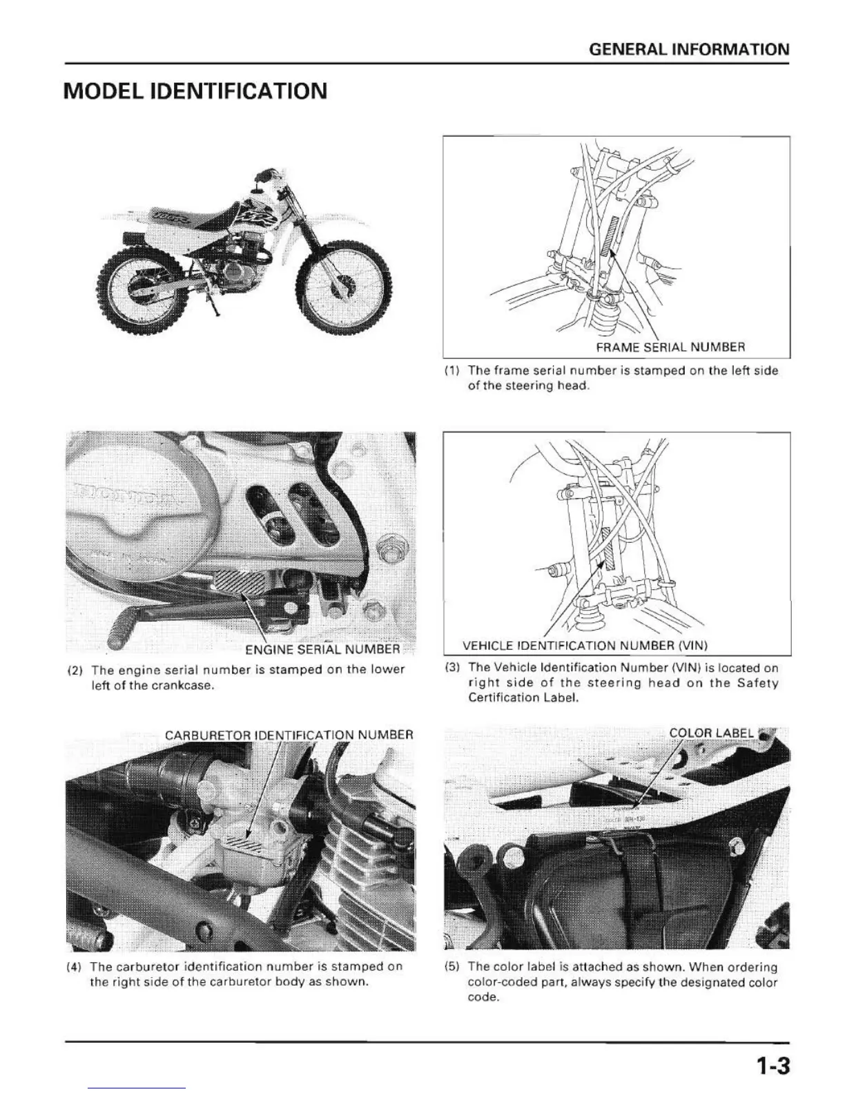 Page #5 background image