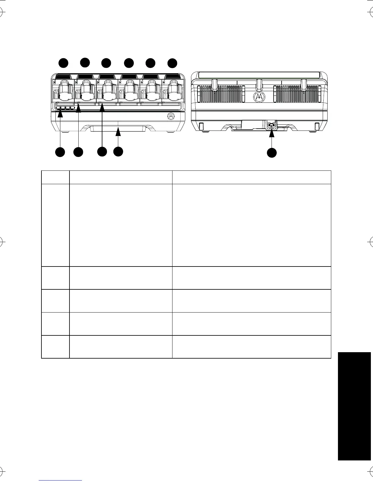 Page #443 background image