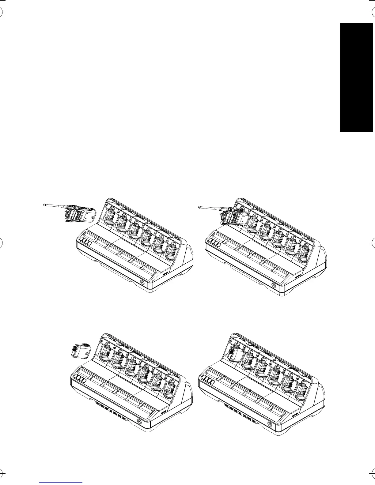 Page #497 background image