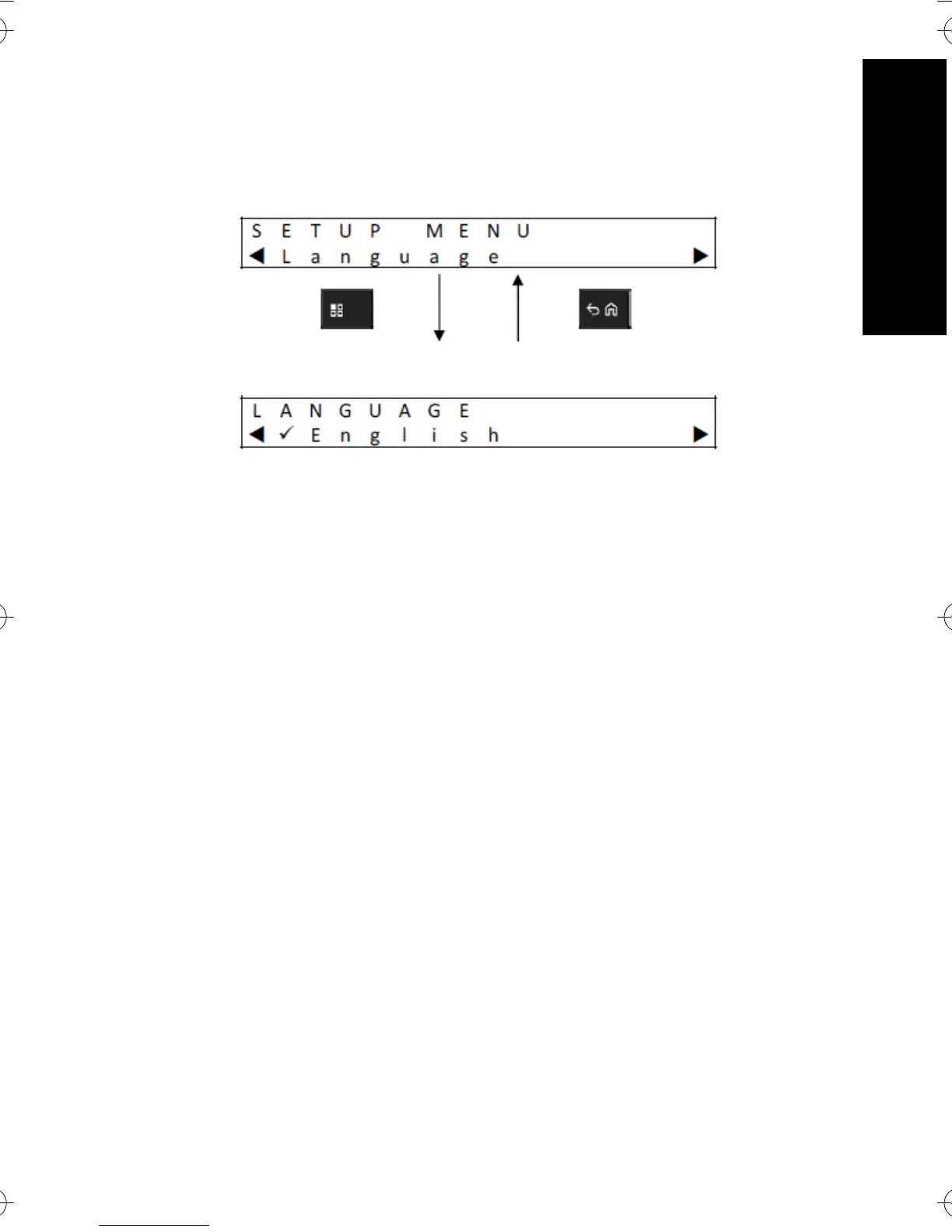 Page #519 background image