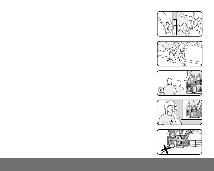 Page #41 background image