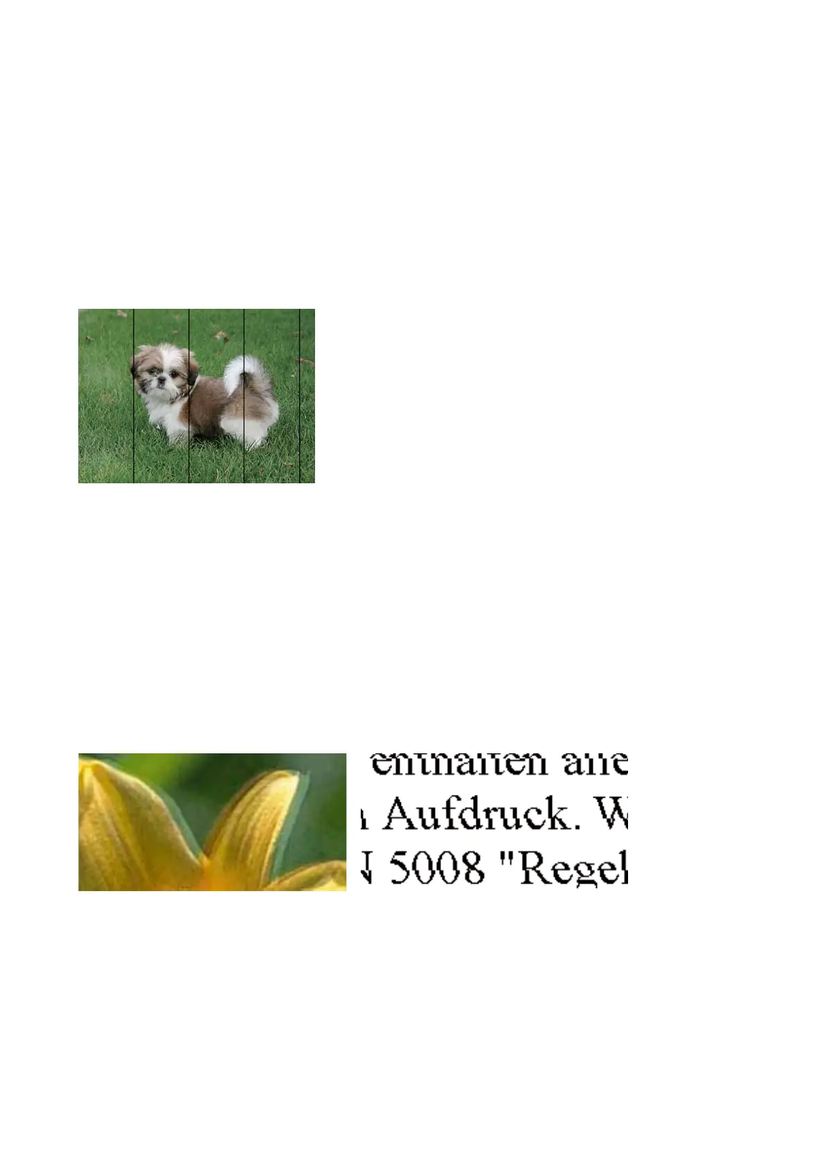 Page #113 background image