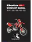 Preview: Workshop Manual
