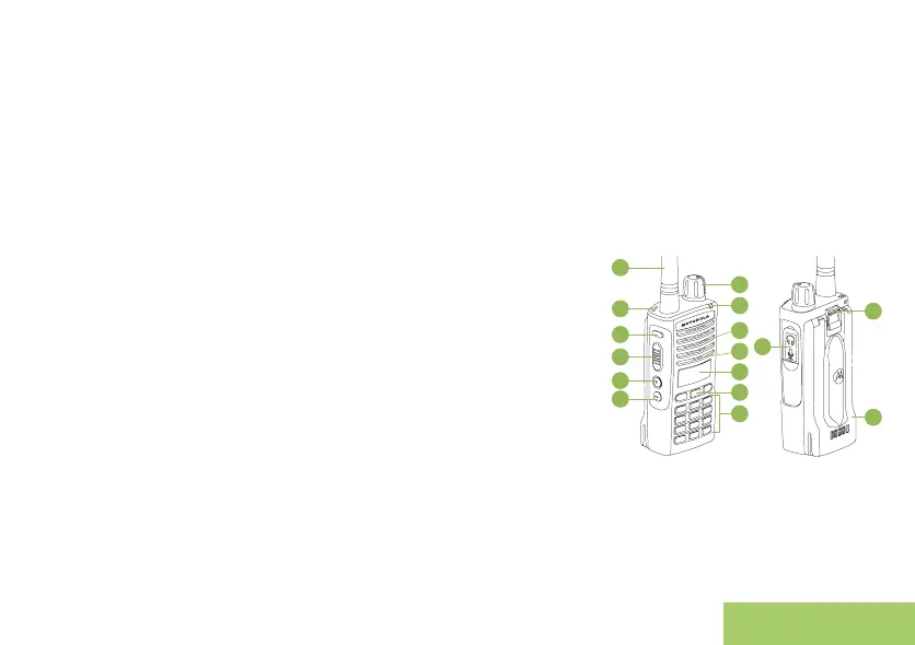 Page #7 background image