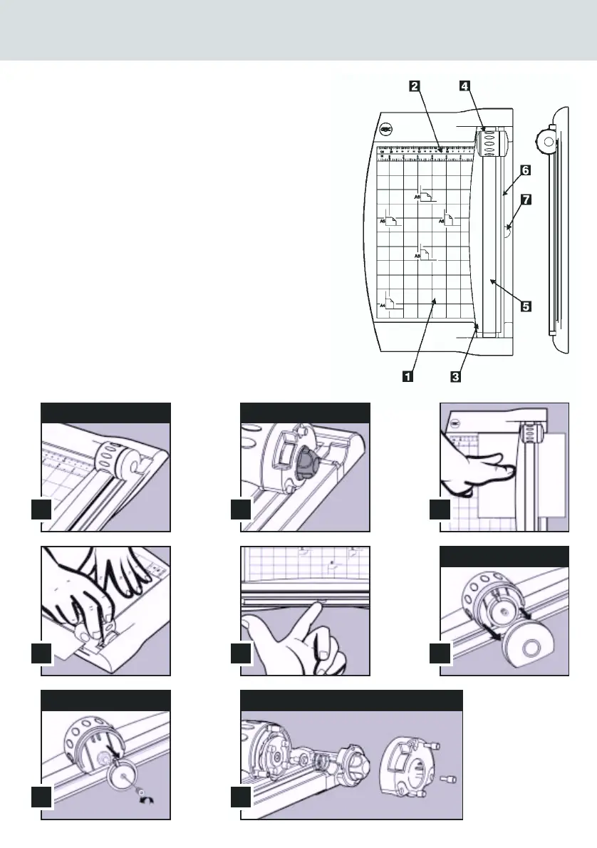 Page #3 background image