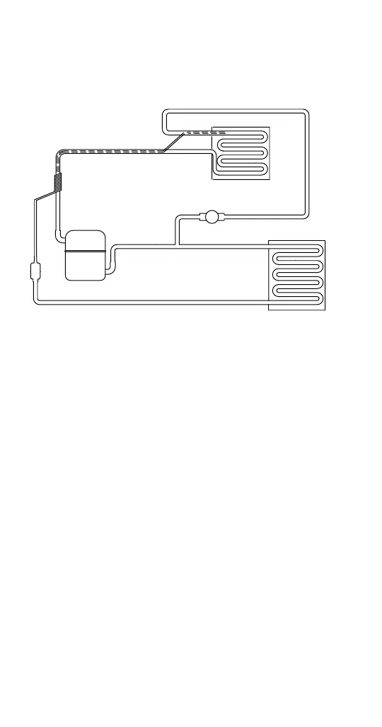 Page #256 background image