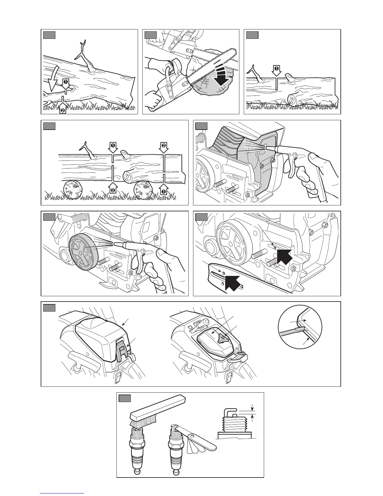 Page #6 background image