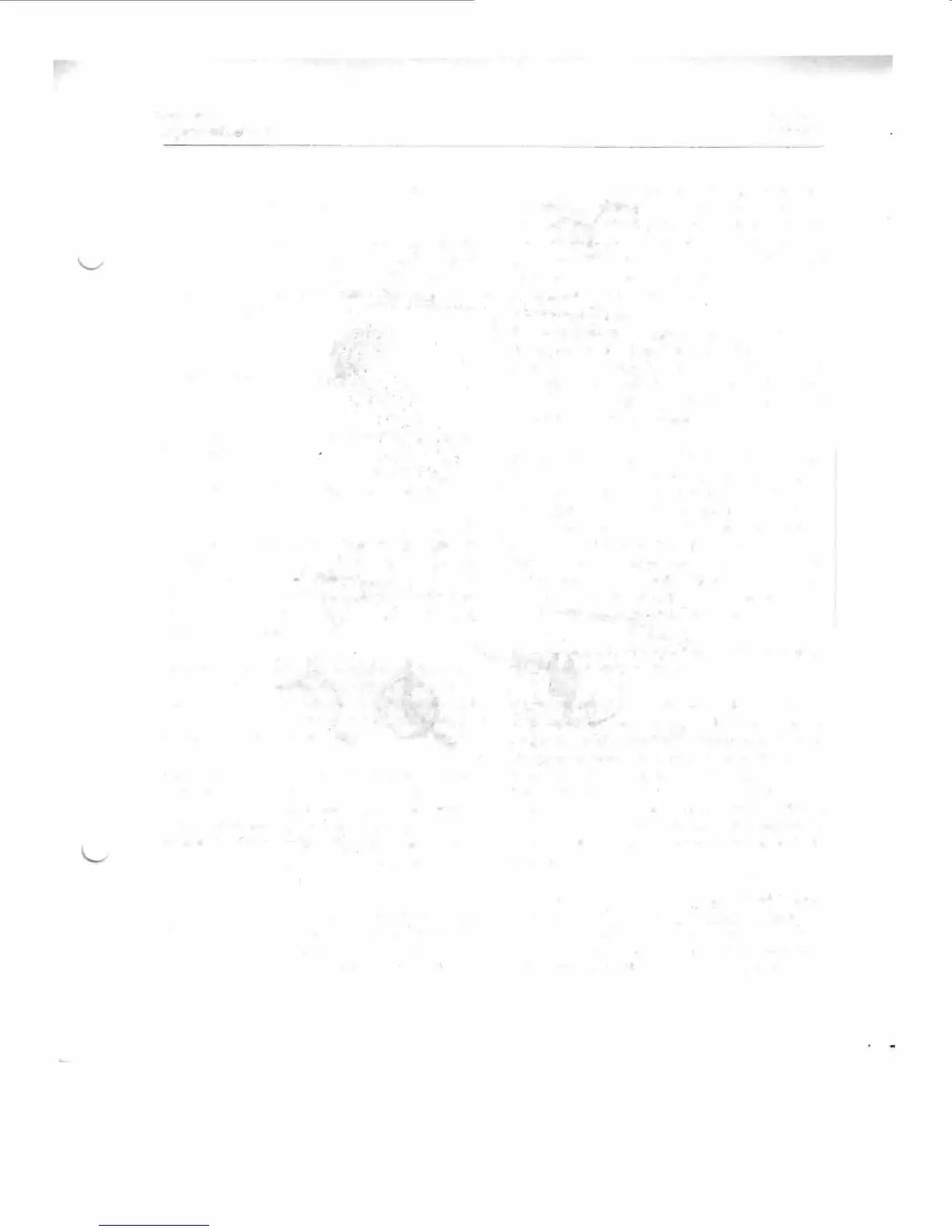 Page #65 background image