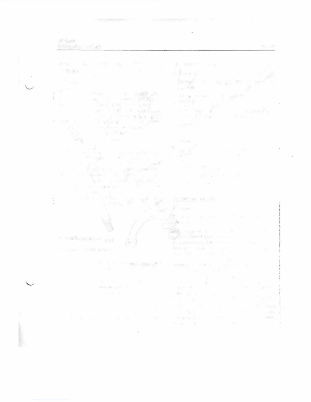 Page #244 background image