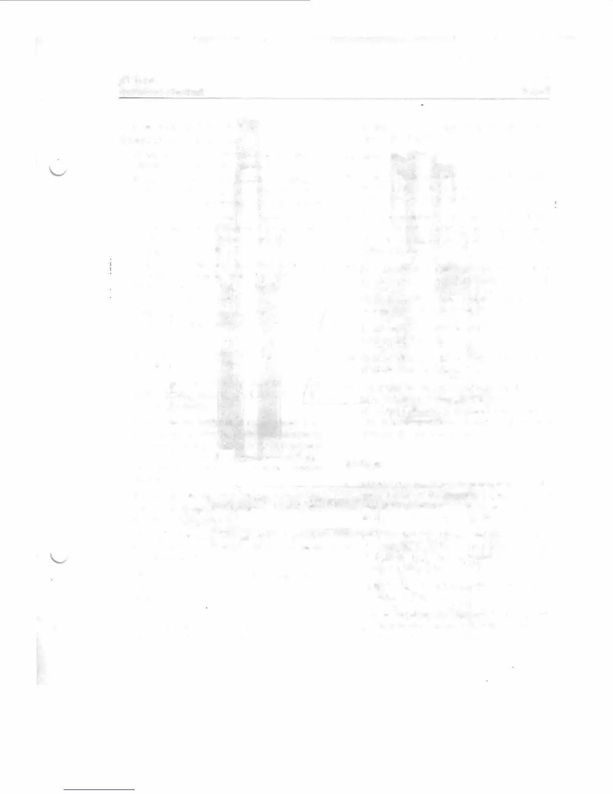 Page #246 background image
