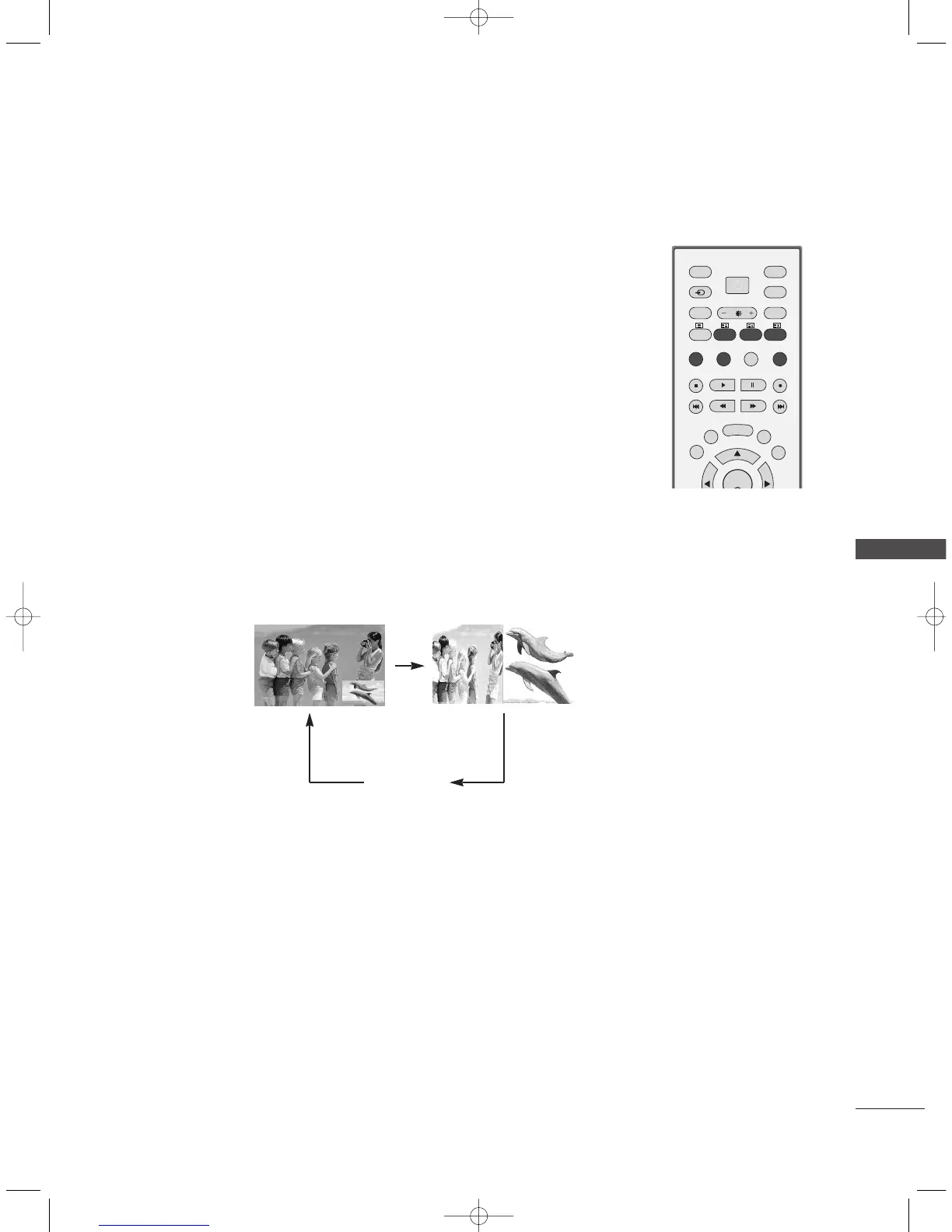 Page #31 background image