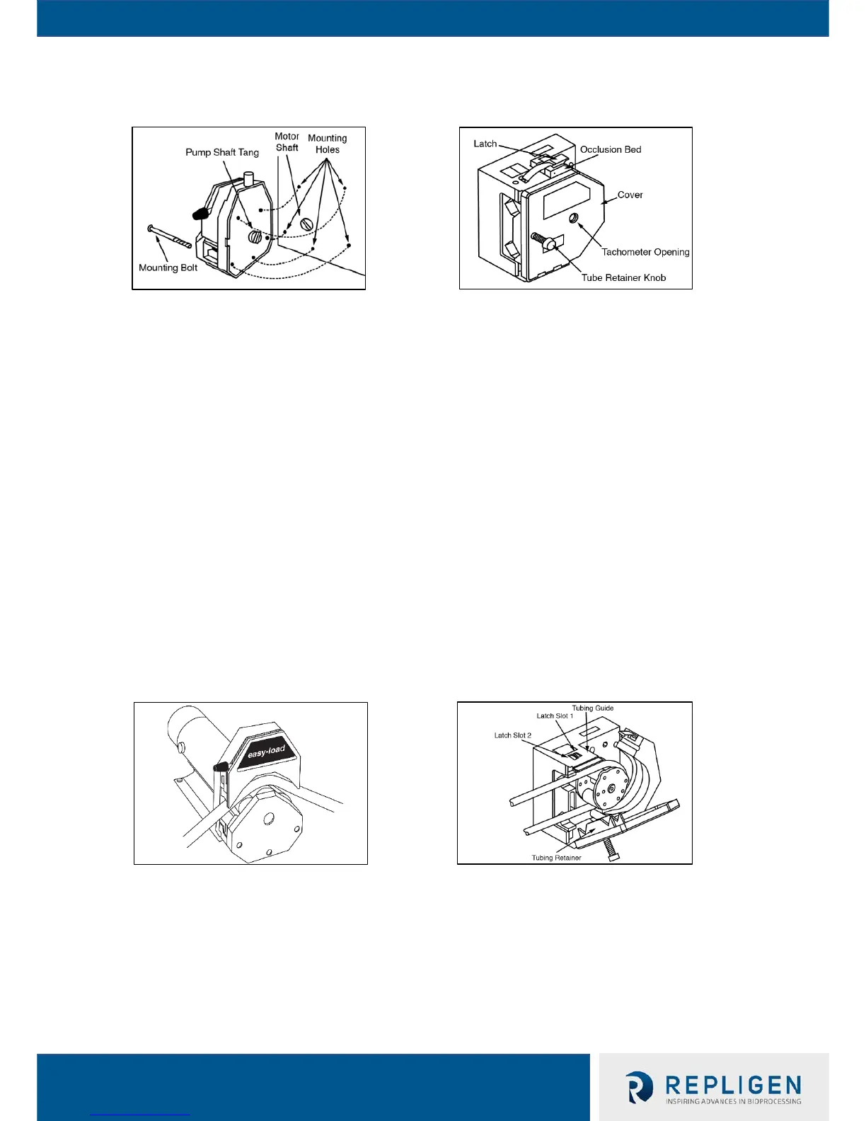 Page #56 background image