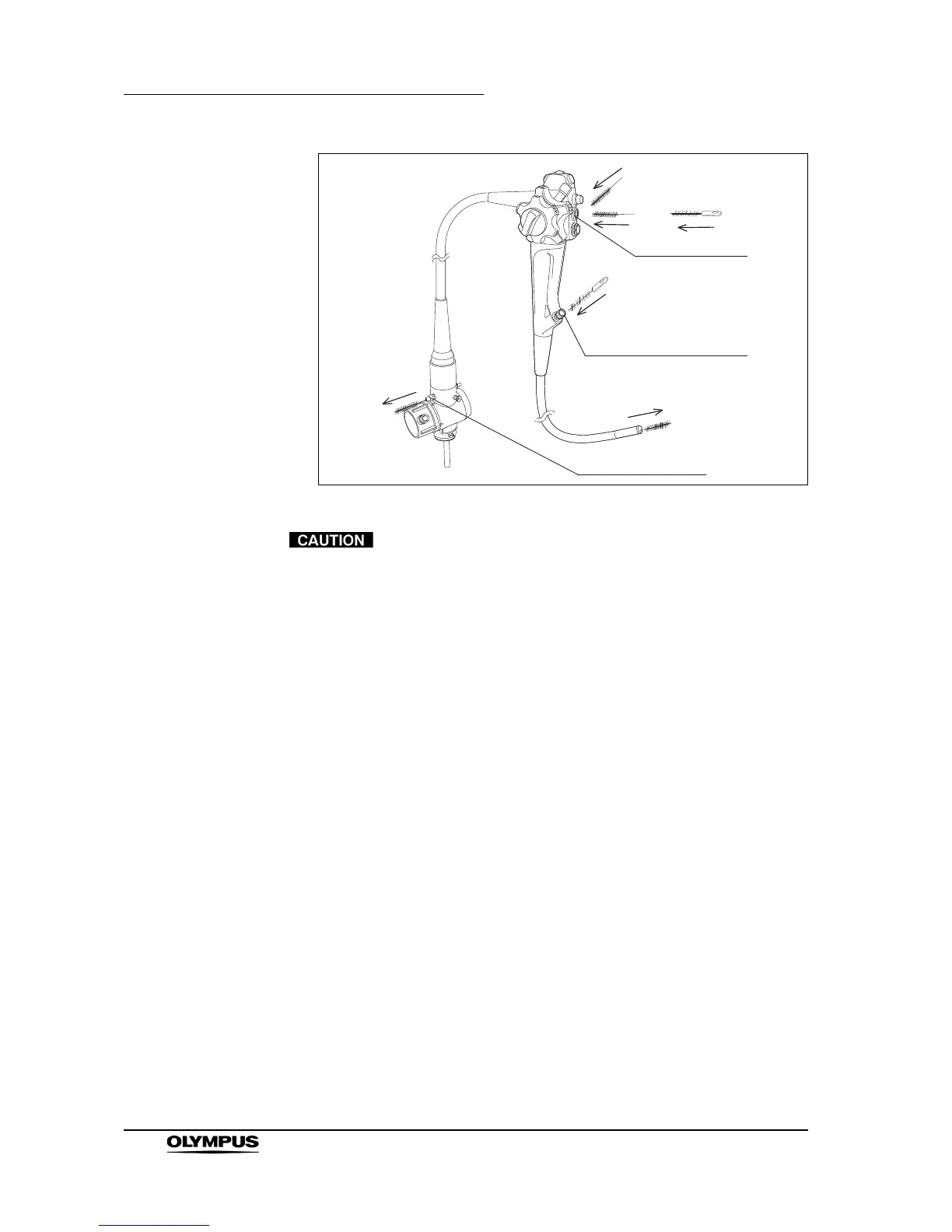 Page #44 background image