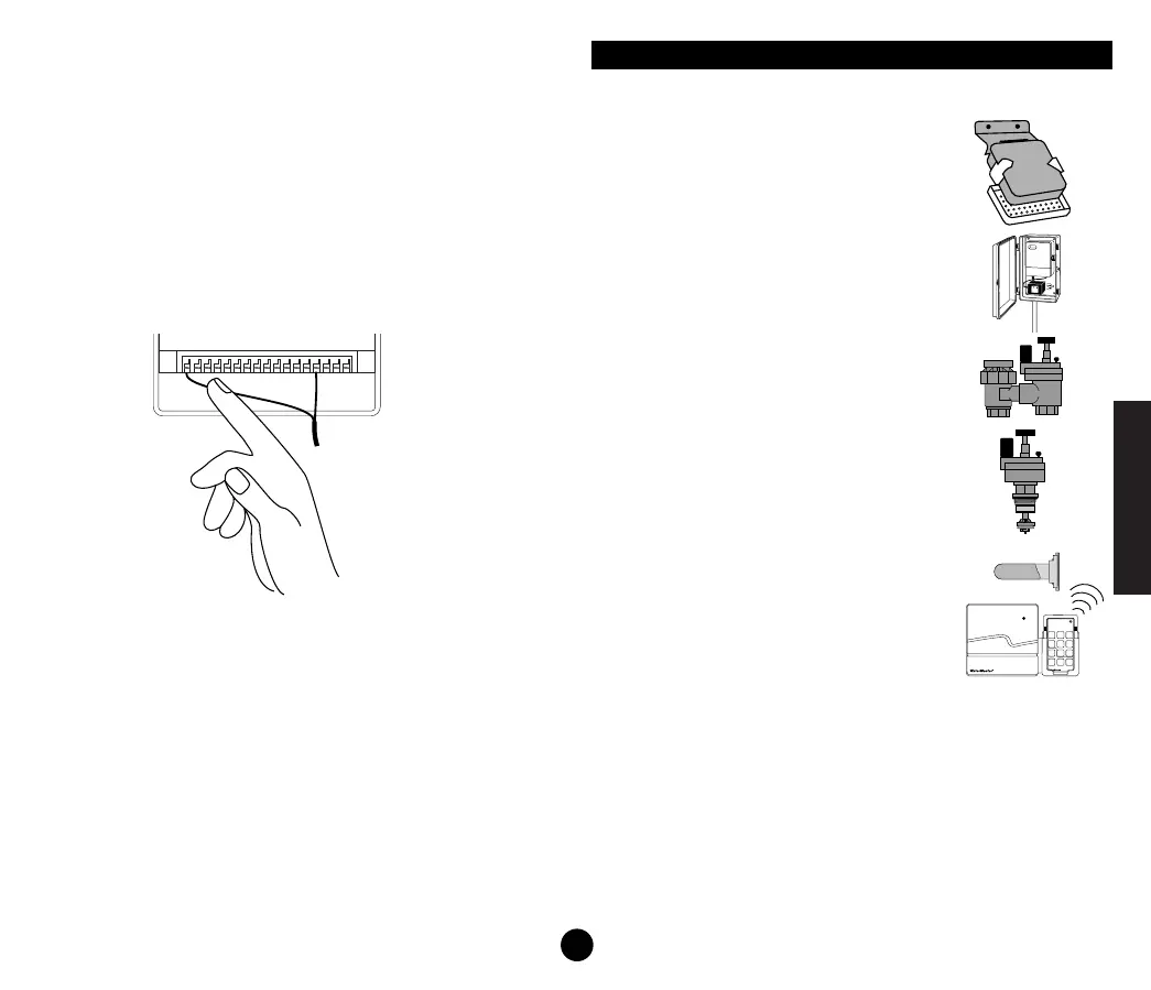 Page #33 background image