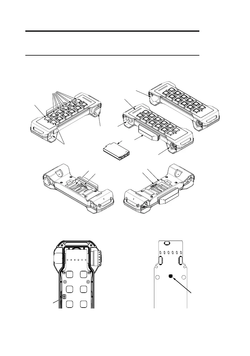 Page #13 background image