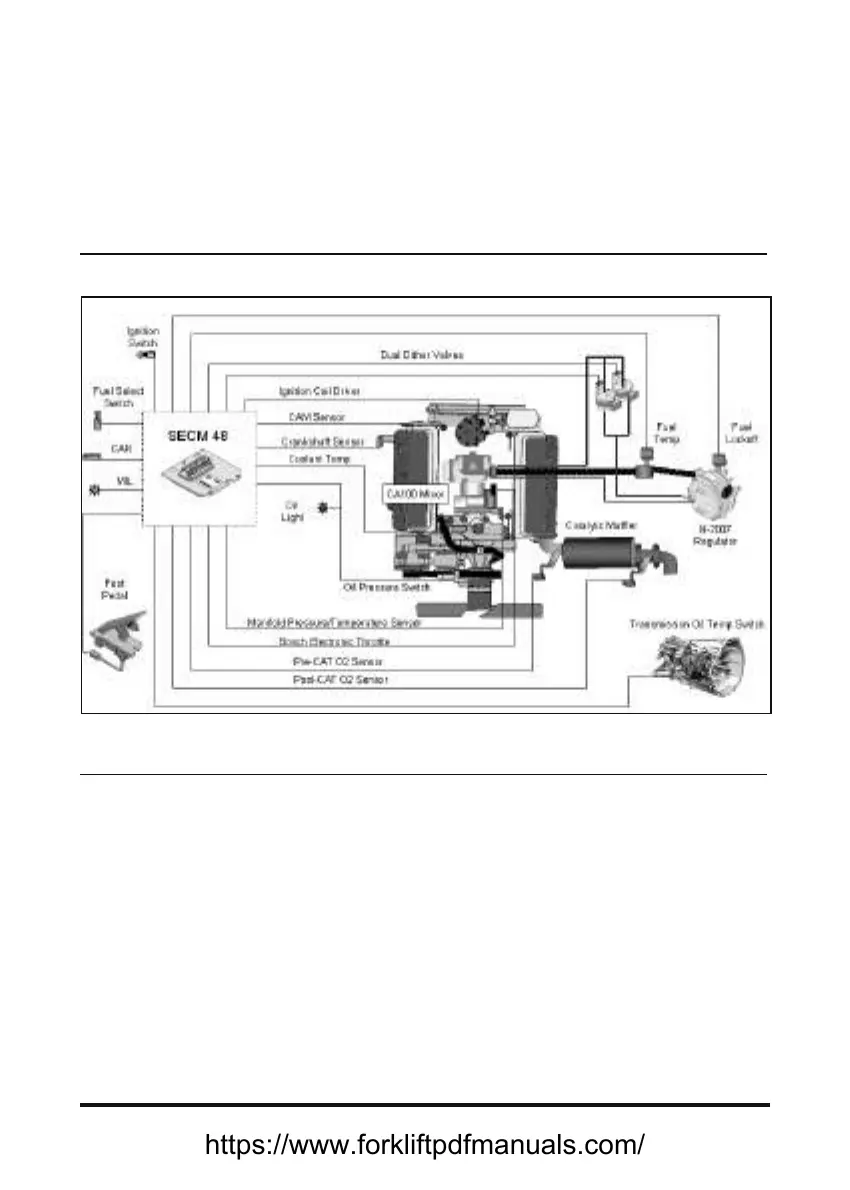 Page #251 background image