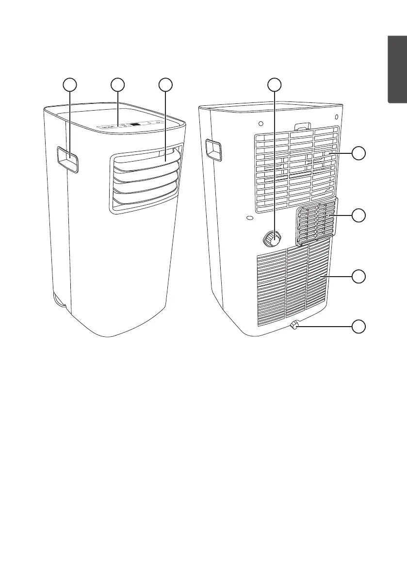 Page #5 background image