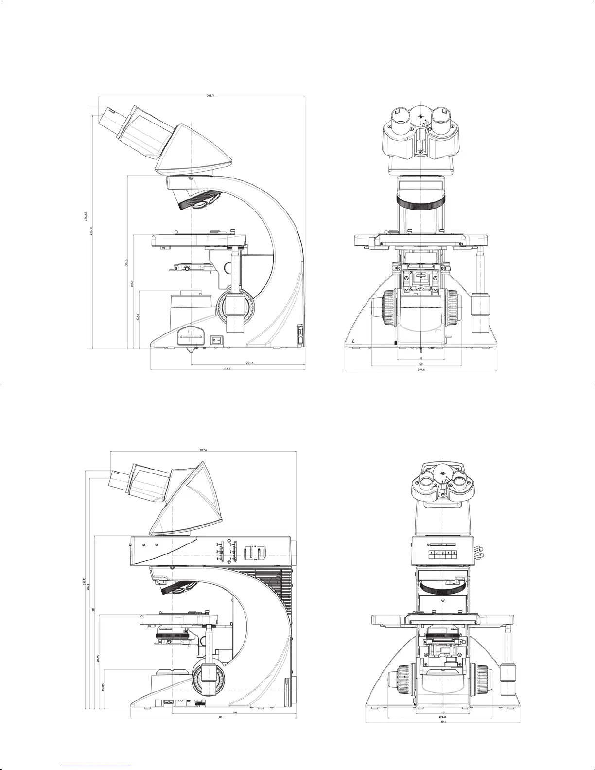 Page #12 background image