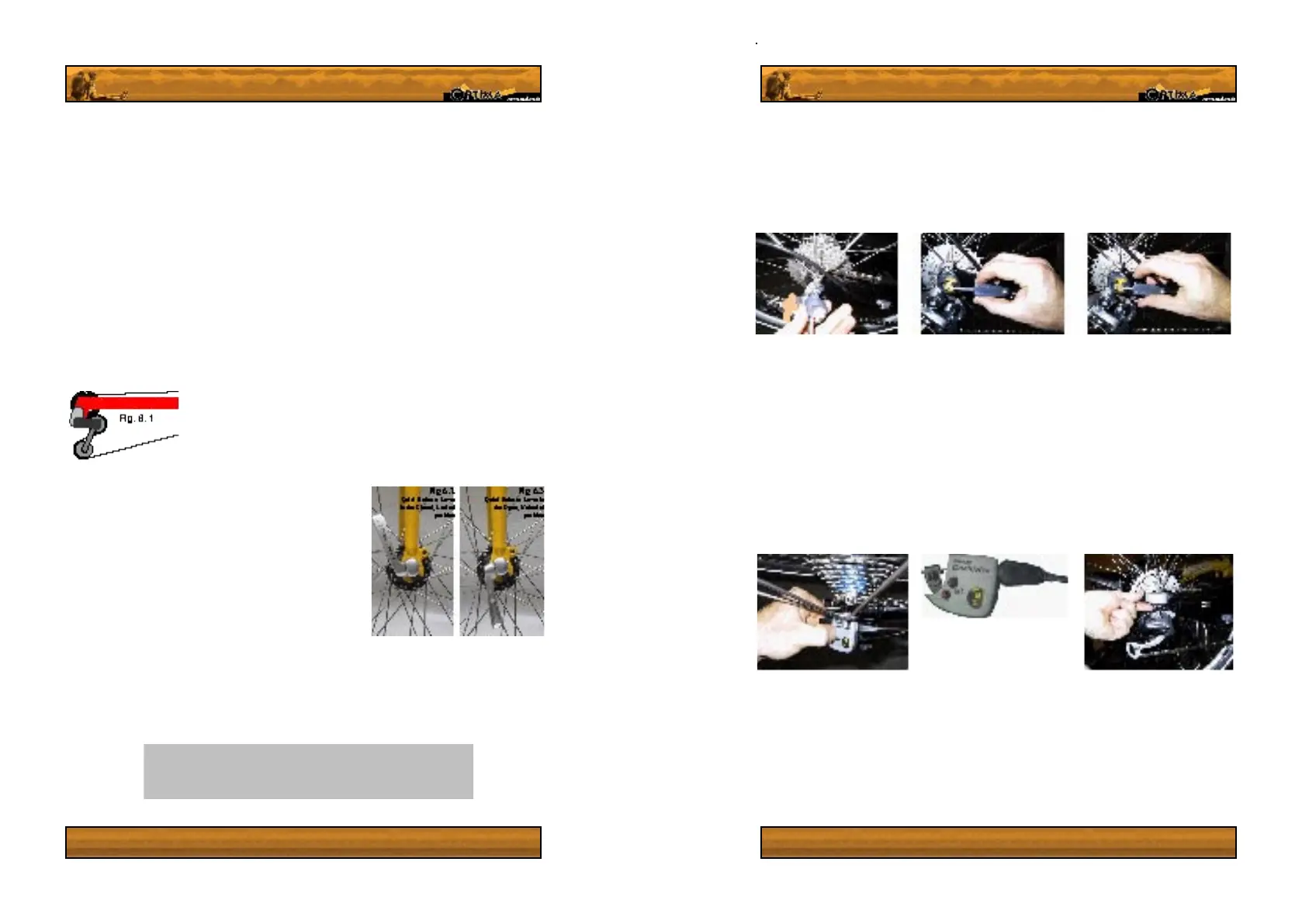 Page #8 background image