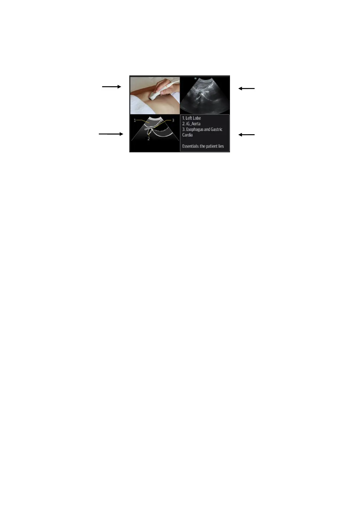 Page #312 background image