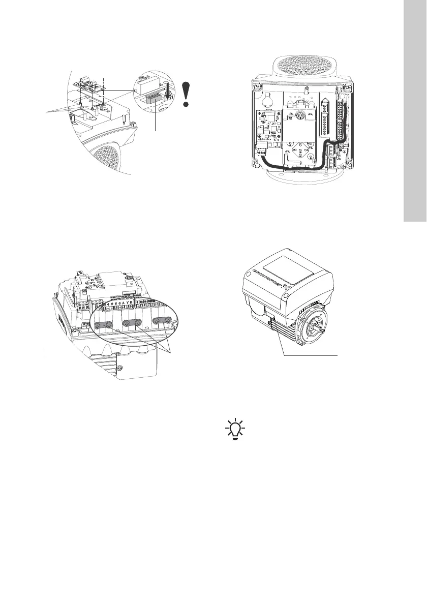 Page #53 background image