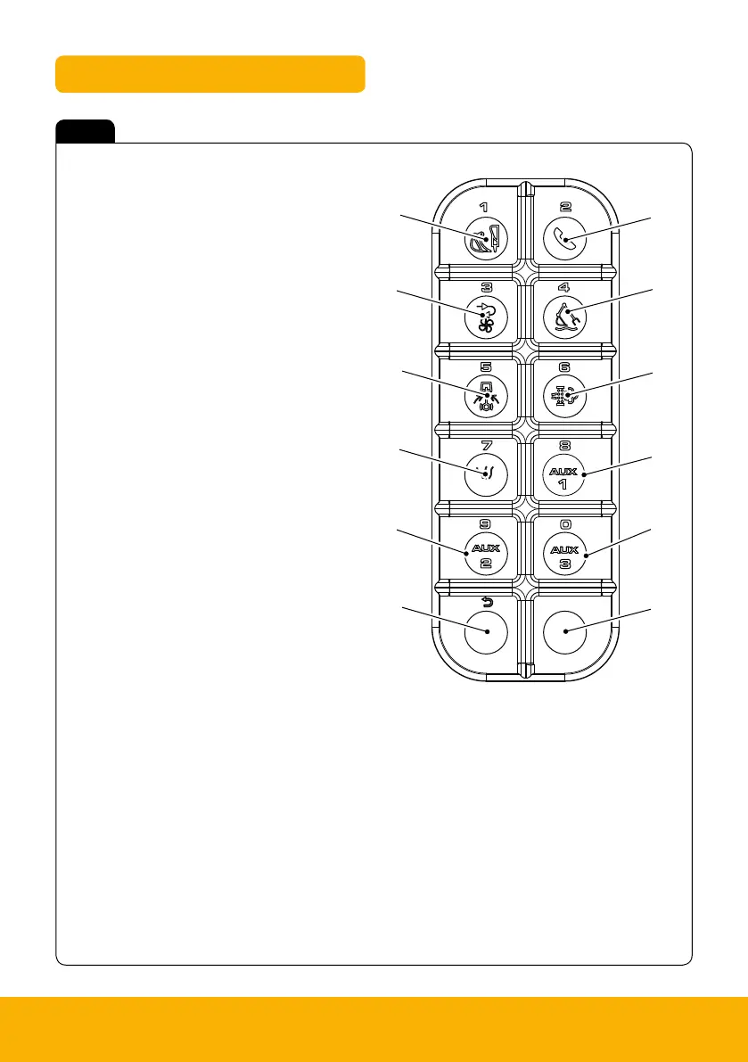 Page #13 background image